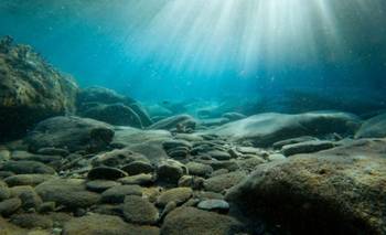 Impactante hallazgo en Mar Argentino: qué encontraron a casi 4.000 metros de profundidad | Ciencia 