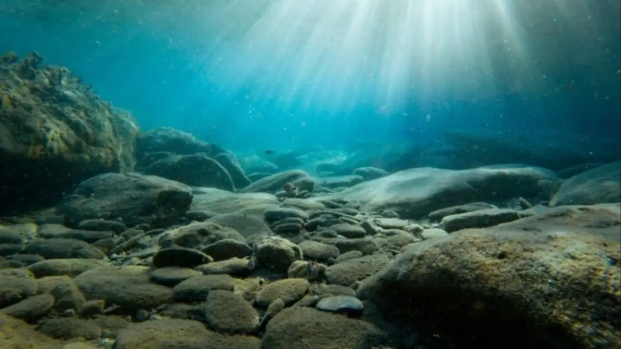 Impactante hallazgo en el Mar Argentino: qué encontraron a casi 4.000 metros de profundidad