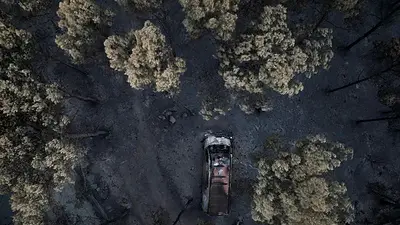 La respuesta ante los incendios debe adaptarse al cambio climático, según una responsable de la UE La respuesta ante los incendios debe adaptarse al cambio climático, según una responsable de la UE