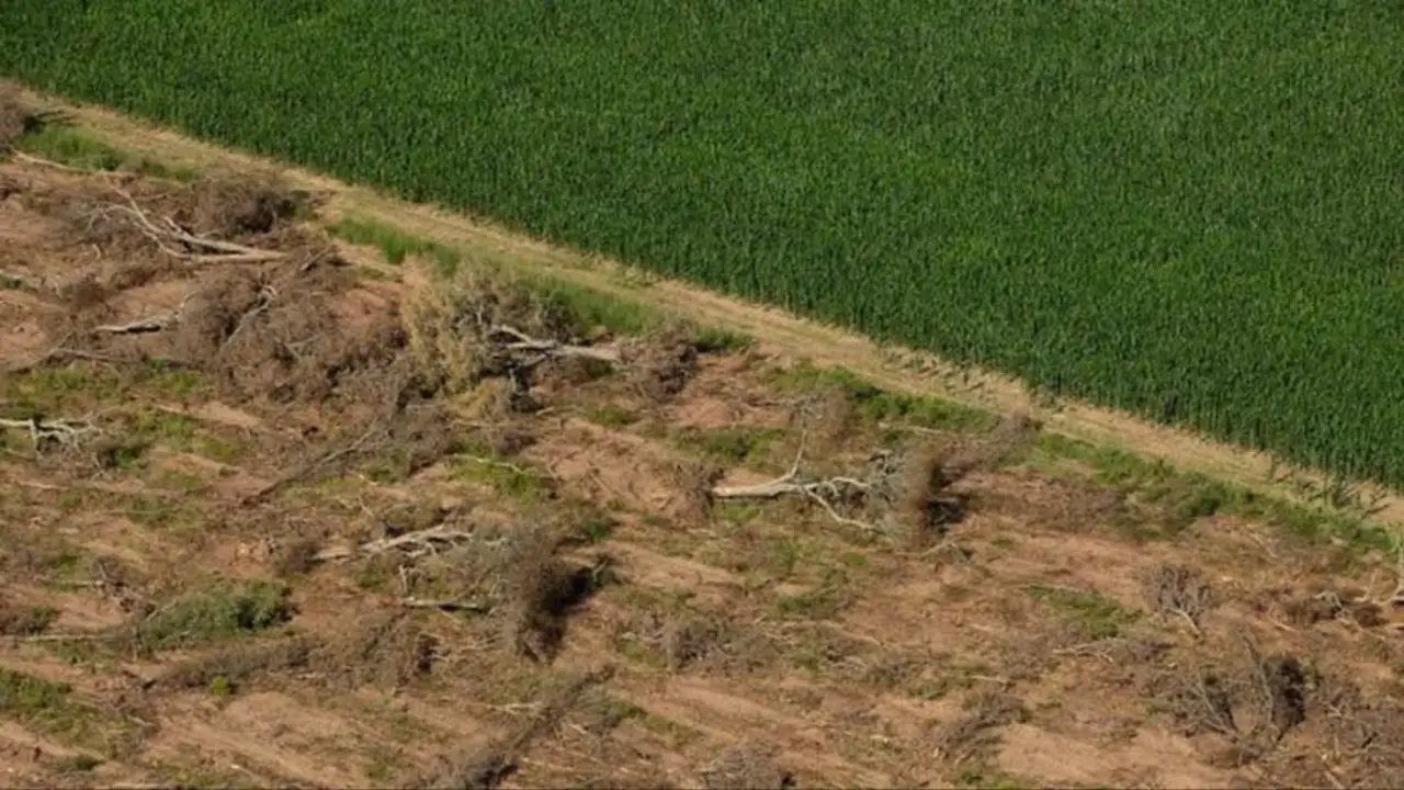 El Gobierno de Formosa defendió su política ambiental y rechazó las cifras de Greenpeace sobre desmontes ilegales