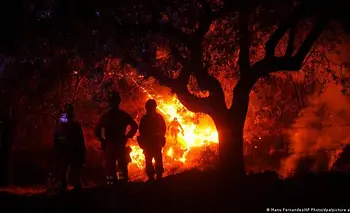 España da por "técnicamente estabilizados" los voraces incendios | España