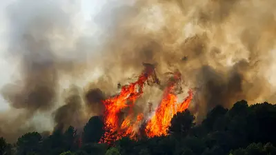 El cambio climático ha disparado la probabilidad de incendios en España y Francia, según científicos El cambio climático ha disparado la probabilidad de incendios en España y Francia, según científicos