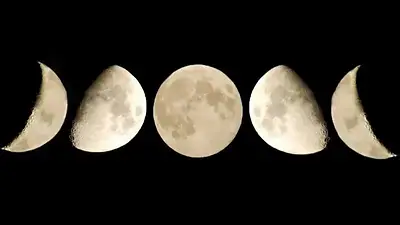 Calendario lunar de agosto. Calendario lunar de agosto.