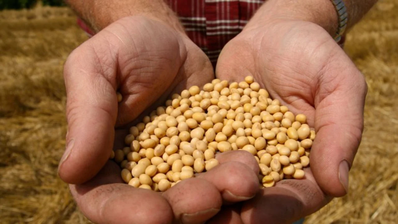 El Central quiere que las grandes exportadoras salgan a buscar dólares