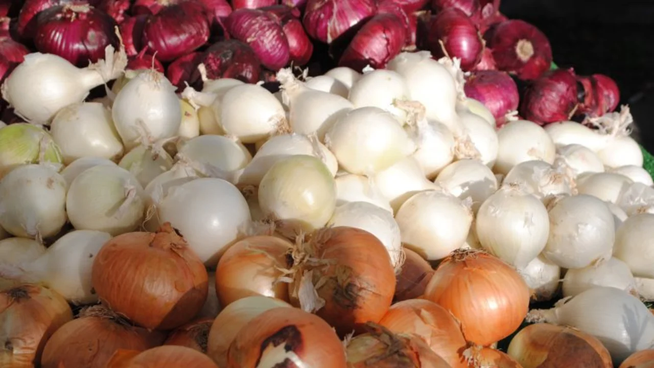 Alerta cebolla: el Mercado Central y ONG piden no comprarla por la disparada del precio