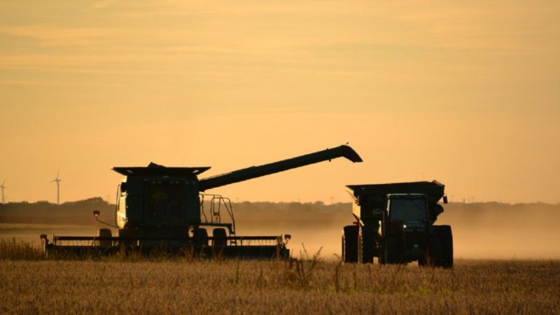 El Gobierno oficializó la extensión de un subsidio a lecheros