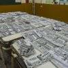 Noticias de Elecciones en Tucumán - El Destape