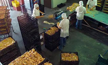Celebrar el Día del Empresario Nacional es discutir el modelo económico vigente | Empresarios