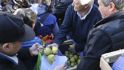 La jubilada que fue a pedir frutas porque tenía hambre y aún apoya a Mauricio Macri La jubilada que fue a pedir frutas porque tenía hambre y aún apoya a Mauricio Macri