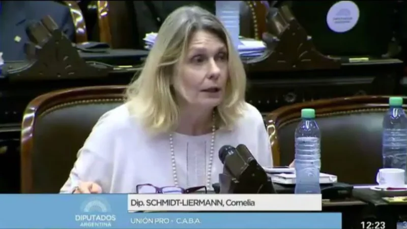 En medio del caso Maldonado, una diputada PRO habló de la "radicalización de los jóvenes"
