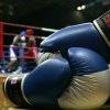 Noticias de Boxeo - El Destape