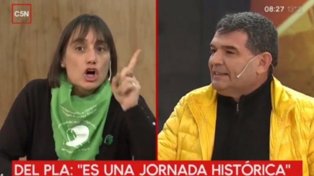Dos diputados se dijeron de todo por el caso de una niña de 11 años violada