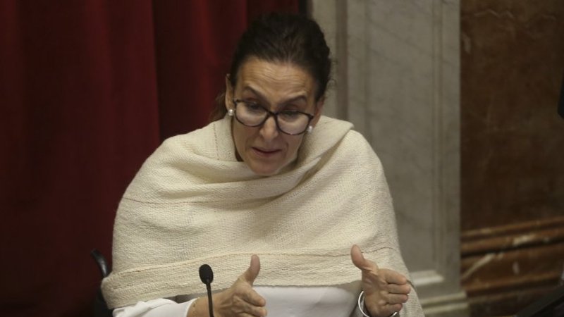 Michetti quiere apurar la votación del aborto y le pidió a los senadores que corten sus discursos