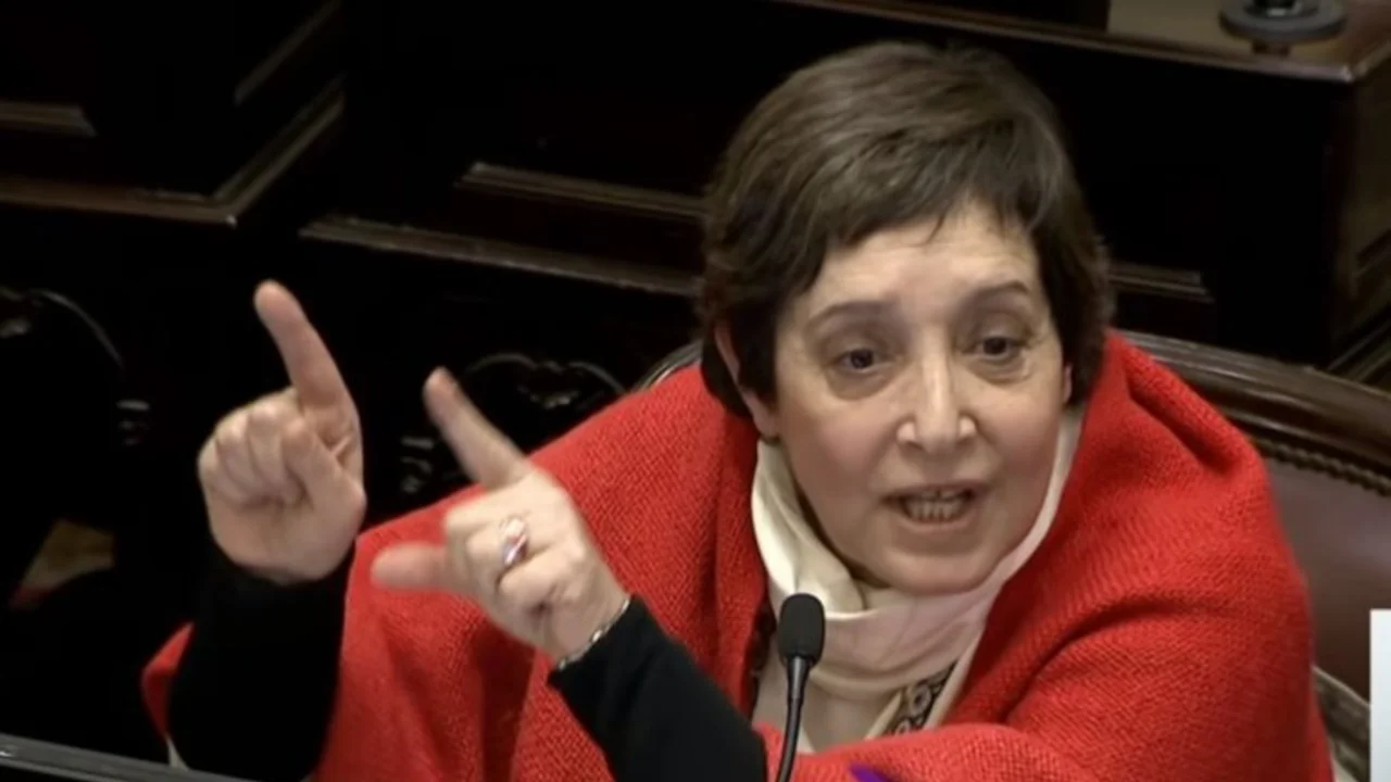 Durísima denuncia de una senadora contra Macri: "También es un embrión que muere"