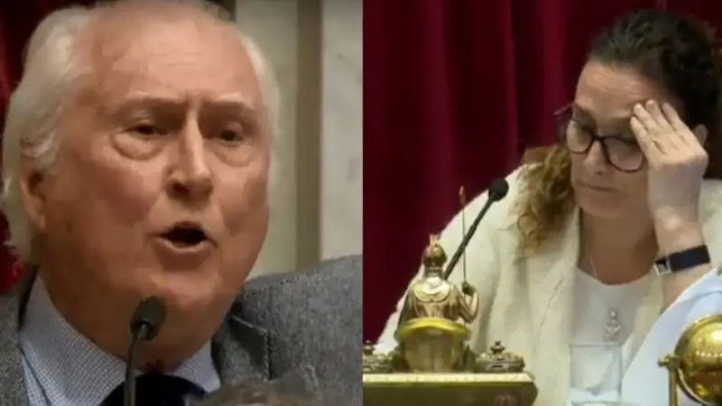 Pino Solanas cruzó a Michetti y la expuso frente a todo el Senado