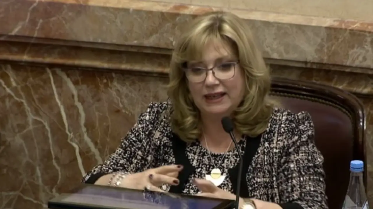 Insólito: la senadora López Valverde reconoció que no leyó el proyecto que despenaliza el aborto