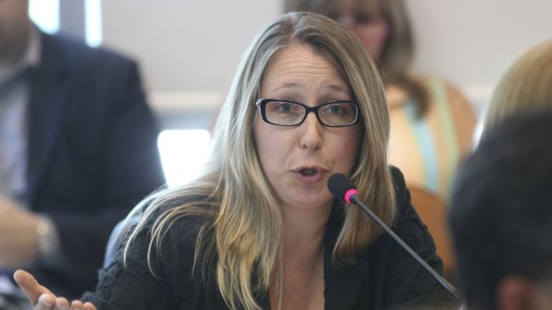 Myriam Bregman: "Los blanqueos son para los grandes empresarios que evadieron dinero que nunca declararon"