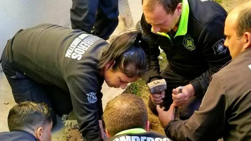 Video: El angustiante momento del rescate de un bebé en un pozo 