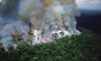 ¿Qué graves consecuencias puede traer para Argentina el incendio en Amazonas? | Incendio en el amazonas