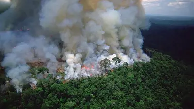 Incendio en el Amazonas: documentos privados revelan que el Gobierno sabía que ruralistas querían iniciar el fuego tres días antes Incendio en el Amazonas: documentos privados revelan que el Gobierno sabía que ruralistas querían iniciar el fuego tres días antes