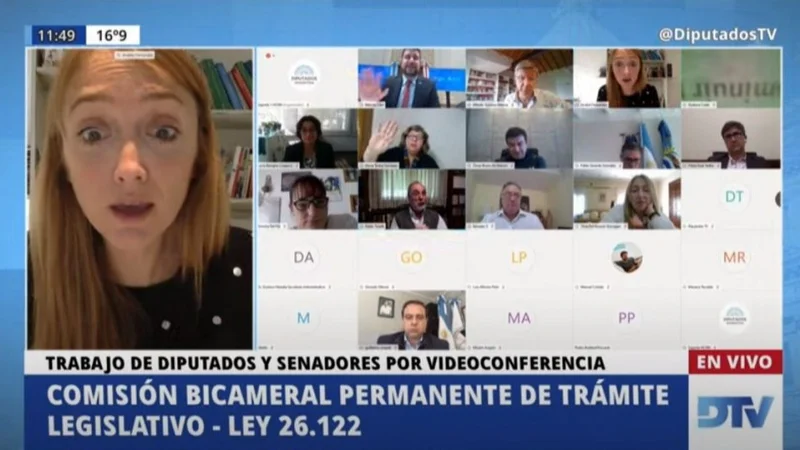 Escándalo: Pablo Tonelli mandó a callar a Anabel Fernández Sagasti en pleno debate