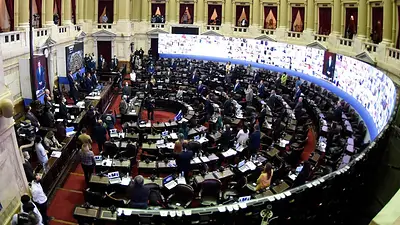 En medio de los incendios en el Delta, Diputados debate una ley sobre humedales En medio de los incendios en el Delta, Diputados debate una ley sobre humedales