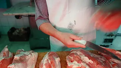 Carne Carne