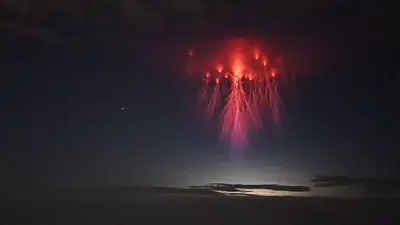 Medusas rojas: Qué es el misterioso fenómeno que se vio en el cielo Medusas rojas: Qué es el misterioso fenómeno que se vio en el cielo