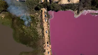 El lago rosa de Paraguay que preocupa hasta a Leonardo Di Caprio El lago rosa de Paraguay que preocupa hasta a Leonardo Di Caprio