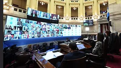 El insólito grito que se escuchó en medio de una sesión del Senado El insólito grito que se escuchó en medio de una sesión del Senado