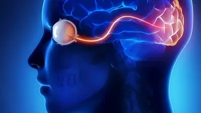 Neuralink Neuralink