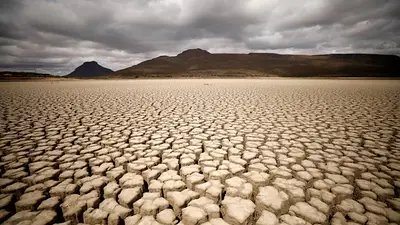 Las olas de calor que se daban una vez cada 50 años ahora ocurren cada década Las olas de calor que se daban una vez cada 50 años ahora ocurren cada década
