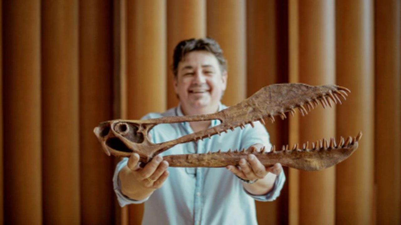 "Big John", el triceratops más grande conocido, será subastado