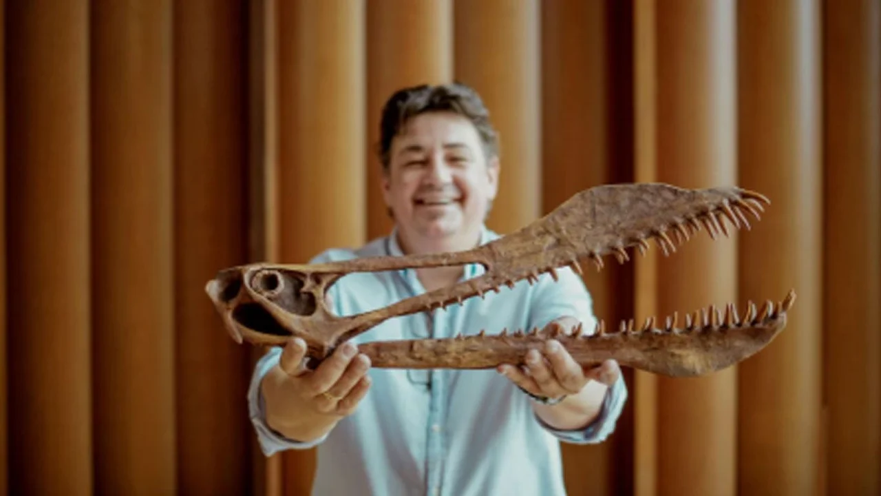 "Big John", el triceratops más grande conocido, será subastado