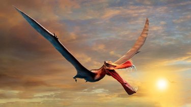 Descubren un dinosaurio idéntico a un dragón: el nuevo fenómeno que asombra al mundo