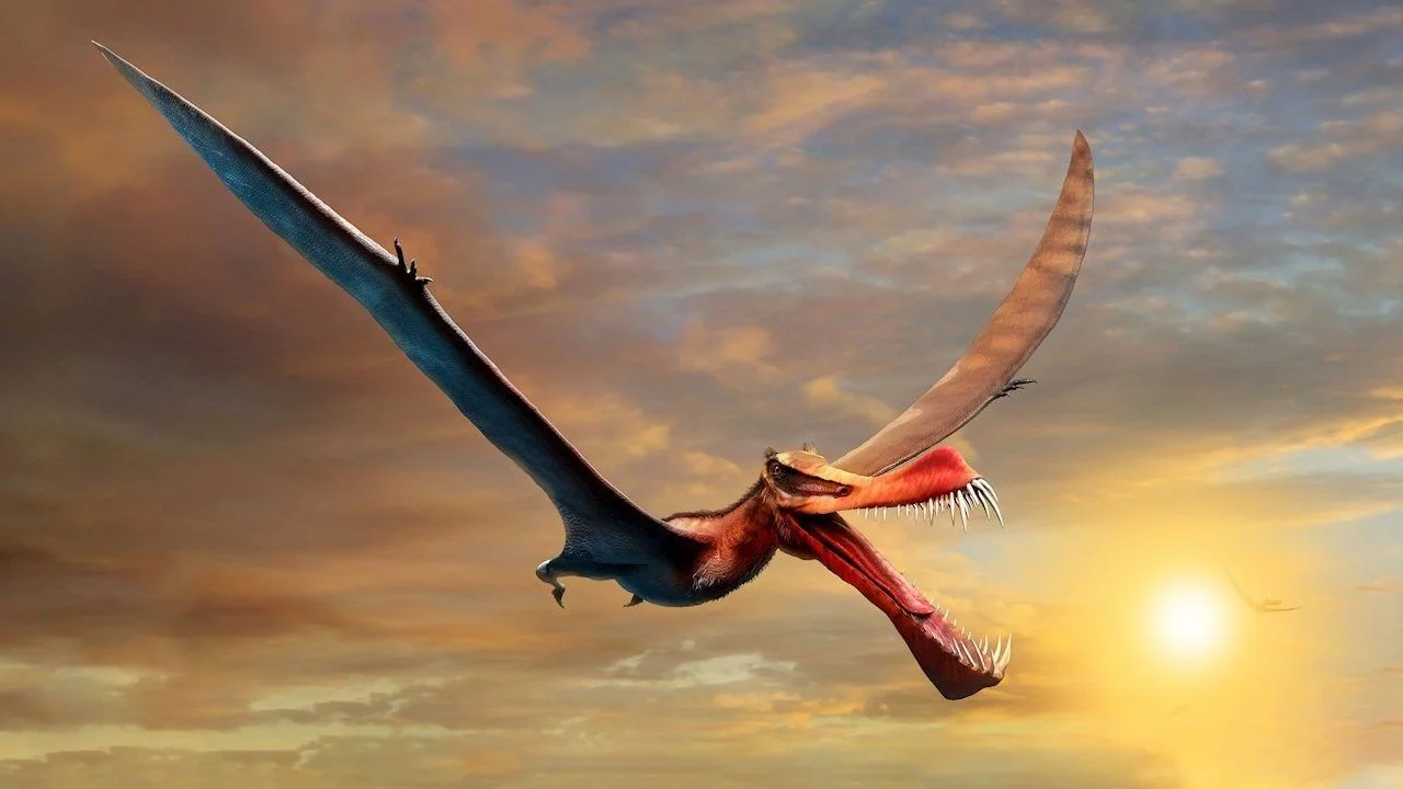 La representación del "dinosaurio dragón" encontrado en Australia
