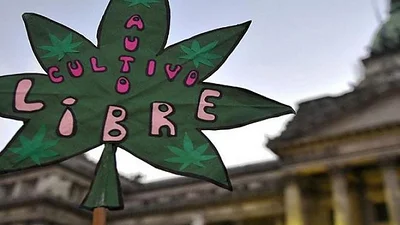 Alberto, sobre la legalización de la marihuana: "Debatamos, pero sin hipocresías" Alberto, sobre la legalización de la marihuana: "Debatamos, pero sin hipocresías"