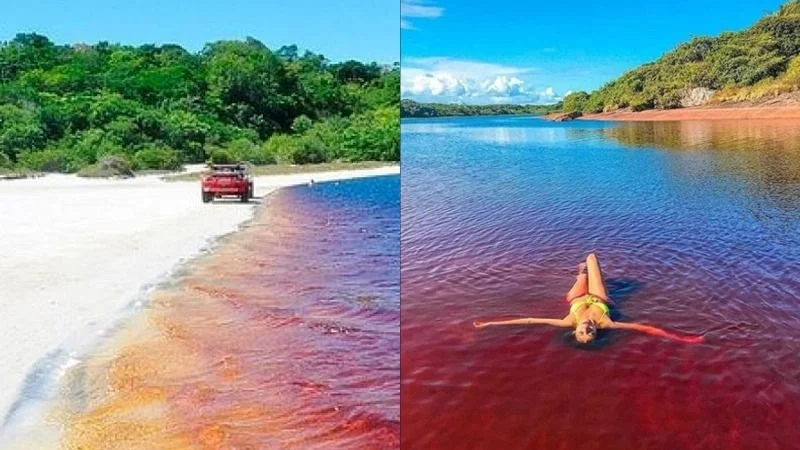 La "Laguna de Coca-Cola", un extraño fenómeno natural que genera sorpresa en el mundo