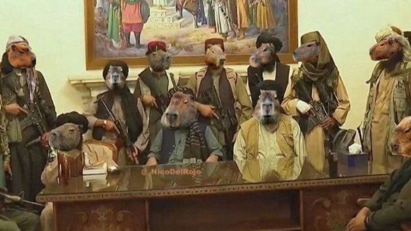 Carpinchos, memes, Nordelta, virales, redes sociales