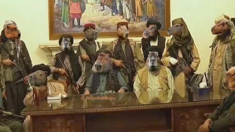 Carpinchos, memes, Nordelta, virales, redes sociales