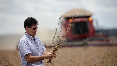 Proyecto agroindustria Proyecto agroindustria