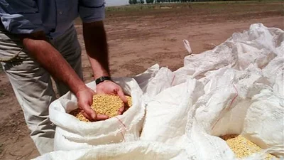 Paritarias 2020: trabajadores del sector semillero lograron un aumento del 49,5% Paritarias 2020: trabajadores del sector semillero lograron un aumento del 49,5%