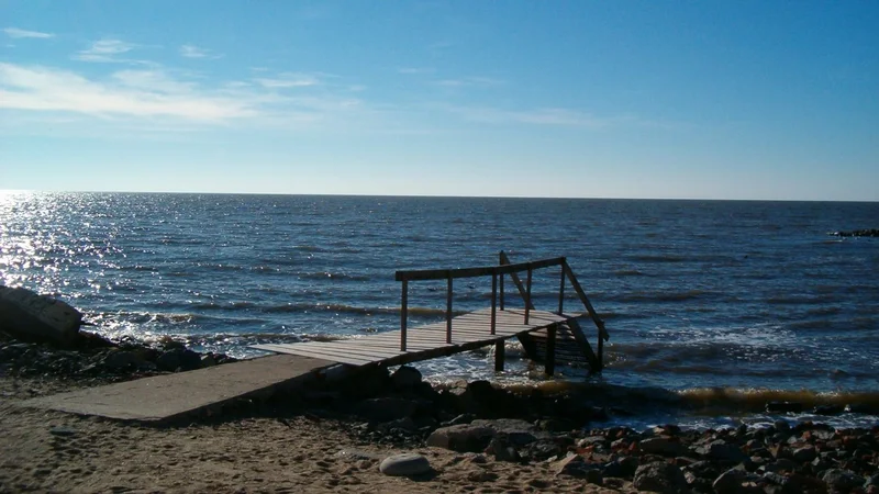 Mar de Ansenuza: el humedal más grande de Sudamérica, a un paso de ser Parque y Reserva Nacional
