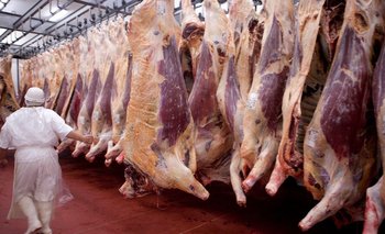 Medidas por la carne: el impacto en precios comenzará a verse en marzo | Carne