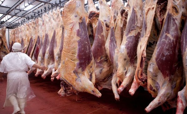 “Argentina becomes major world beef supplier to China, with exports predicted to continue growing”