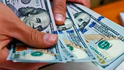 Cotización del dólar blue Cotización del dólar blue