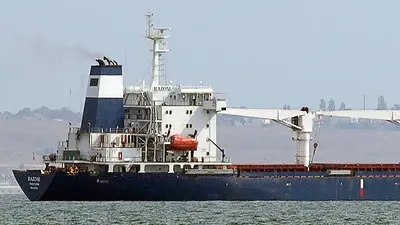 El primer barco con granos de Ucrania llegó a Estambul El primer barco con granos de Ucrania llegó a Estambul