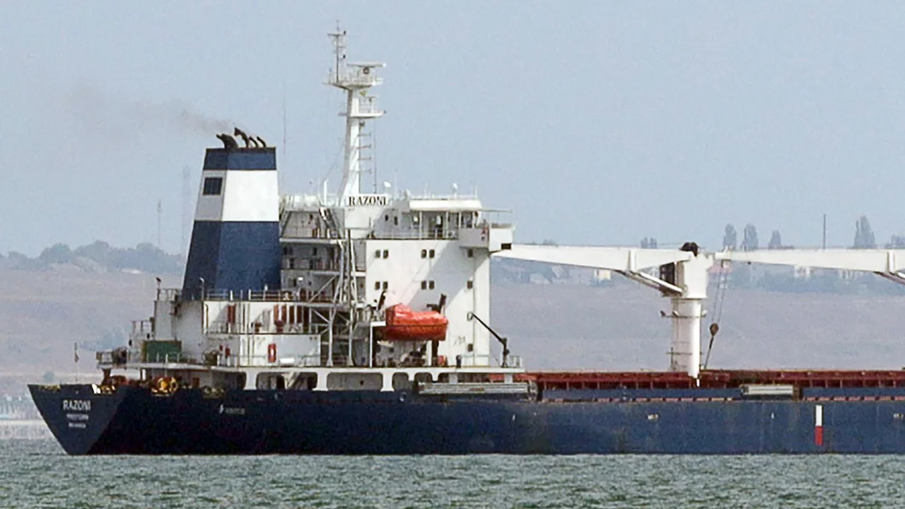El primer barco con granos de Ucrania llegó a Estambul