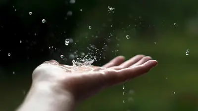 Clima hoy: cuándo vuelven las lluvias en Capital y Conurbano Clima hoy: cuándo vuelven las lluvias en Capital y Conurbano