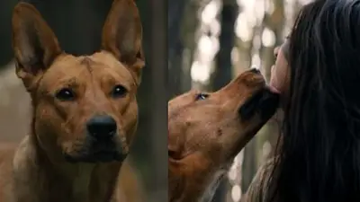 Predator: la presa. Star+ Predator: la presa. Star+